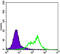 RPTOR Independent Companion Of MTOR Complex 2 antibody, abx010553, Abbexa, Enzyme Linked Immunosorbent Assay image 