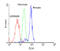 Adhesion G Protein-Coupled Receptor E5 antibody, SM1601P, Origene, Flow Cytometry image 