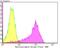 G Protein Nucleolar 3 antibody, NBP2-76853, Novus Biologicals, Flow Cytometry image 