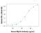 Natural Cytotoxicity Triggering Receptor 3 antibody, MAB18491, R&D Systems, Functional Assay image 