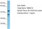 Transmembrane Protein 116 antibody, TA330781, Origene, Western Blot image 