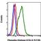 H2A Histone Family Member X antibody, MA5-28006, Invitrogen Antibodies, Flow Cytometry image 