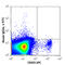 Neuropilin 1 antibody, 354511, BioLegend, Flow Cytometry image 