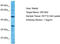 Olfactory Receptor Family 10 Subfamily A Member 2 antibody, TA332327, Origene, Western Blot image 