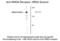 Glutamate Ionotropic Receptor NMDA Type Subunit 2A antibody, 50-129, ProSci, Western Blot image 