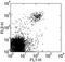 NKR-P1C antibody, 13-5941-85, Invitrogen Antibodies, Flow Cytometry image 