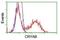 Crystallin Alpha B antibody, NBP1-47708, Novus Biologicals, Flow Cytometry image 