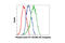 Cyclin D1 antibody, 8497S, Cell Signaling Technology, Flow Cytometry image 