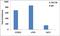 Histone Cluster 4 H4 antibody, 701778, Invitrogen Antibodies, Chromatin Immunoprecipitation image 