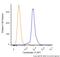 Keratin 19 antibody, NBP2-34426APC, Novus Biologicals, Flow Cytometry image 