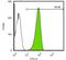 POU Class 5 Homeobox 1 antibody, GTX627419, GeneTex, Flow Cytometry image 