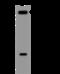 CD166 antigen antibody, 201409-T40, Sino Biological, Western Blot image 