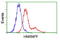 Heterogeneous Nuclear Ribonucleoprotein F antibody, GTX84356, GeneTex, Flow Cytometry image 