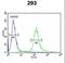 EPS8 Like 3 antibody, LS-C167794, Lifespan Biosciences, Flow Cytometry image 