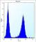 Lysophospholipase Like 1 antibody, abx027707, Abbexa, Western Blot image 