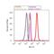 Insulin Receptor Substrate 1 antibody, 710778, Invitrogen Antibodies, Flow Cytometry image 