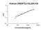 Angiopoietin Like 4 antibody, EK0960, Boster Biological Technology, Enzyme Linked Immunosorbent Assay image 