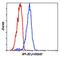 Nuclear Factor Kappa B Subunit 2 antibody, MA5-15110, Invitrogen Antibodies, Flow Cytometry image 