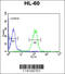 Apolipoprotein L4 antibody, 62-459, ProSci, Flow Cytometry image 