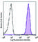 Junctional Adhesion Molecule 3 antibody, 356706, BioLegend, Flow Cytometry image 