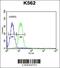 Advillin antibody, 61-651, ProSci, Flow Cytometry image 