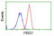 Protein Kinase D2 antibody, LS-C115679, Lifespan Biosciences, Flow Cytometry image 