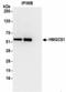 3-Hydroxy-3-Methylglutaryl-CoA Synthase 1 antibody, NBP2-36554, Novus Biologicals, Immunoprecipitation image 