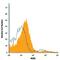 Receptor Tyrosine Kinase Like Orphan Receptor 2 antibody, FAB2064A, R&D Systems, Flow Cytometry image 