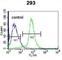 Epithelial Mitogen antibody, abx026168, Abbexa, Western Blot image 