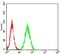 Ras Homolog Family Member F, Filopodia Associated antibody, NBP2-52553, Novus Biologicals, Flow Cytometry image 