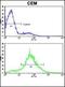 PTTG antibody, orb304533, Biorbyt, Flow Cytometry image 