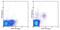 Killer Cell Lectin Like Receptor K1 antibody, 13-5872-82, Invitrogen Antibodies, Flow Cytometry image 