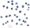 T Cell Immunoreceptor With Ig And ITIM Domains antibody, SD8830, ProSci, Immunocytochemistry image 
