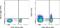 T Cell Immunoreceptor With Ig And ITIM Domains antibody, 11-9500-42, Invitrogen Antibodies, Flow Cytometry image 