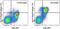 Nuclear Receptor Subfamily 4 Group A Member 1 antibody, 46-5965-82, Invitrogen Antibodies, Flow Cytometry image 