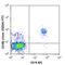 C-X-C Motif Chemokine Receptor 5 antibody, 356914, BioLegend, Flow Cytometry image 