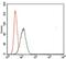 T antibody, NBP2-37434, Novus Biologicals, Flow Cytometry image 