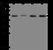 Collagenase 3 antibody, 310471-T40, Sino Biological, Western Blot image 