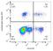 Ig lambda-1 chain C regions antibody, AM26140AC-N, Origene, Flow Cytometry image 