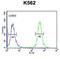 Transcriptional Regulating Factor 1 antibody, abx034337, Abbexa, Flow Cytometry image 