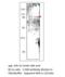 Toll Like Receptor 9 antibody, MBS540152, MyBioSource, Western Blot image 