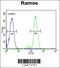 Decapping MRNA 1B antibody, 64-169, ProSci, Flow Cytometry image 
