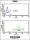 Tetraspanin 2 antibody, 63-894, ProSci, Flow Cytometry image 