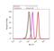 Somatostatin Receptor 5 antibody, PA3-112, Invitrogen Antibodies, Flow Cytometry image 