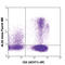 Interferon Gamma antibody, 502515, BioLegend, Immunocytochemistry image 