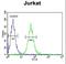 Branched Chain Keto Acid Dehydrogenase E1 Subunit Alpha antibody, LS-C156765, Lifespan Biosciences, Flow Cytometry image 