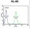 Coenzyme Q7, Hydroxylase antibody, LS-C166951, Lifespan Biosciences, Flow Cytometry image 