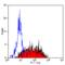 Integrin Subunit Alpha 6 antibody, MCA1457, Bio-Rad (formerly AbD Serotec) , Western Blot image 