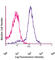 BCL2 antibody, 633510, BioLegend, Immunocytochemistry image 