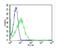 Dipeptidyl Peptidase 4 antibody, NBP2-22434, Novus Biologicals, Flow Cytometry image 